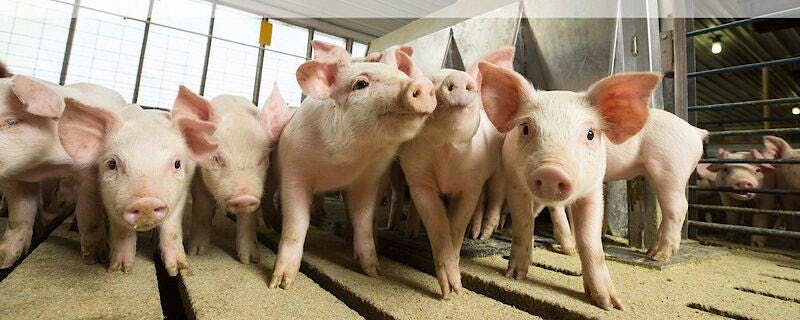 Webimage 3 DAF267 B 7 B38 406 D 8055 B28 B6 D71 DB6 C